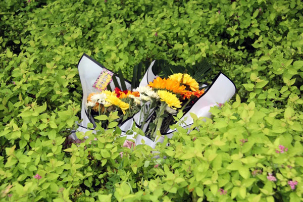 生如夏花·思念永恒 | 沈阳观陵山墓园举行第十二届公益生态葬活动
