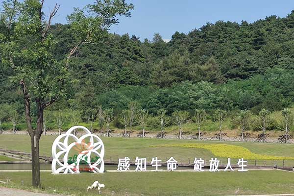沈阳墓园价格特惠，青山绿水间流淌无尽的哀思