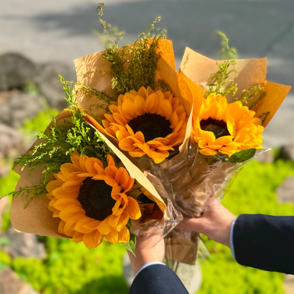 金秋游园会、共赴山河约，辽宁观陵山艺术园林公墓中秋活动