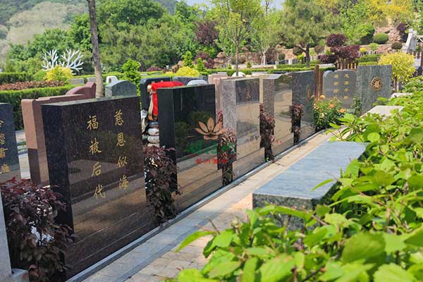 观陵山公墓的生命记忆树，生命之舟的温馨港湾