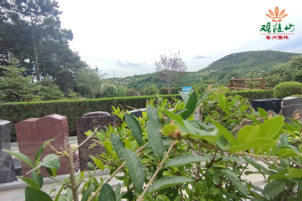 沈阳墓园花坛葬有年限限制吗?家属需要了解的使用期限问题 沈阳墓园花坛葬有年限限制吗?家属需要了解的使用期限问题