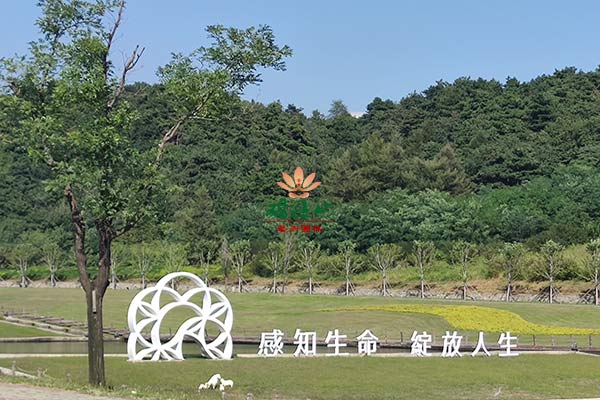 沈阳观陵山墓园，寒露过后，生命折射出永恒的光彩